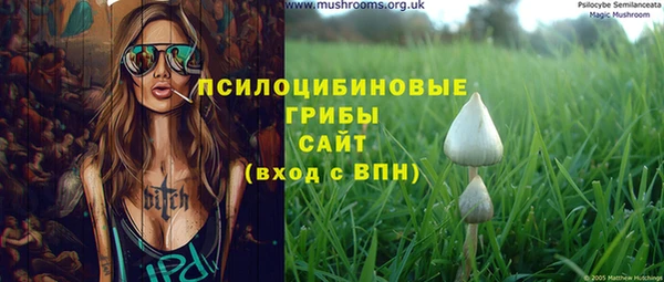 сатива Протвино