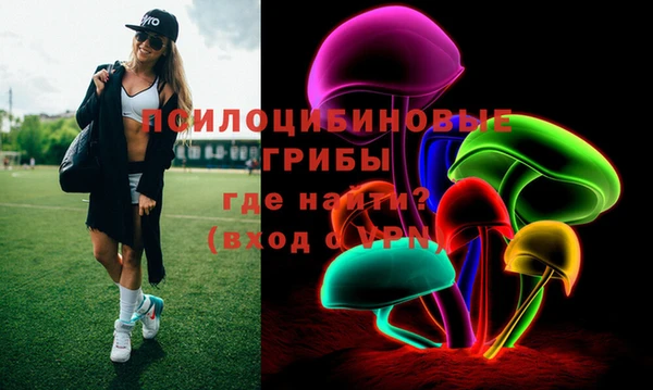 PSILOCYBIN Алексеевка