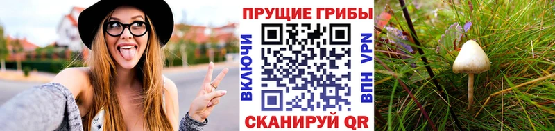 дарнет шоп Шарыпово Галлюциногенные грибы ЛСД