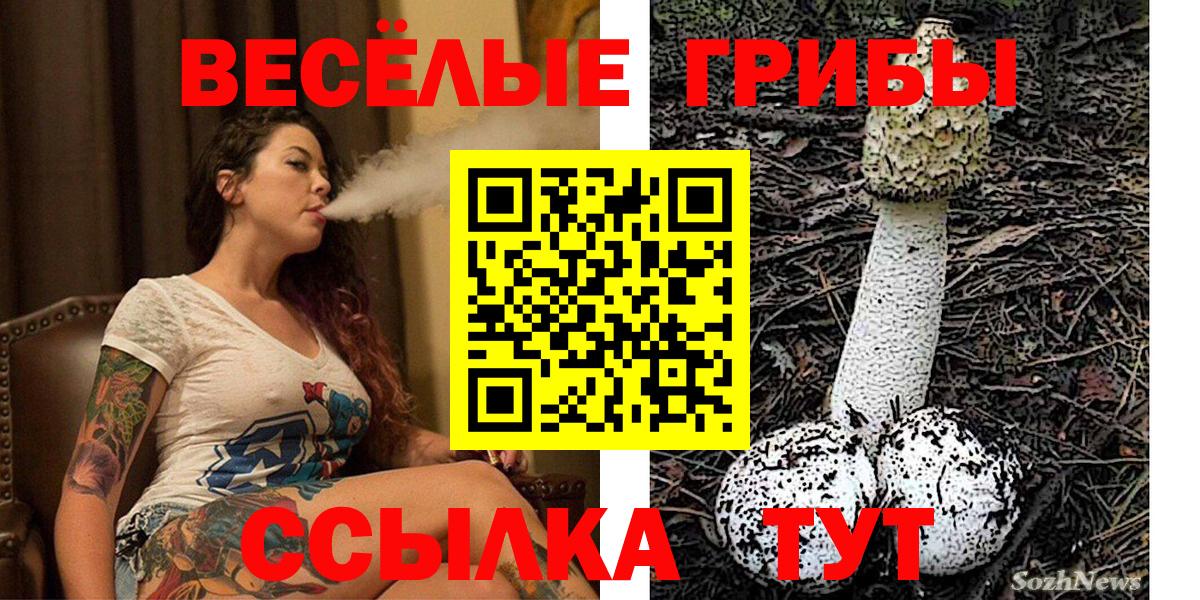 Псилоцибиновые грибы Psilocybe Шарыпово
