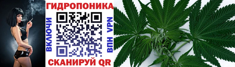 Каннабис SATIVA & INDICA  где продают наркотики  hydra   Шарыпово 