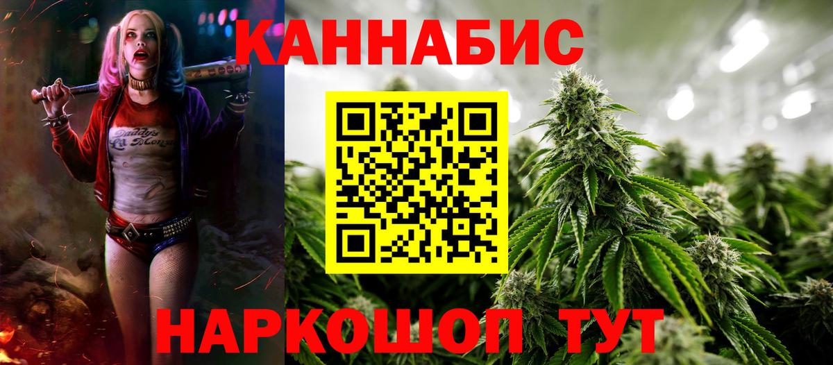 Каннабис план Шарыпово